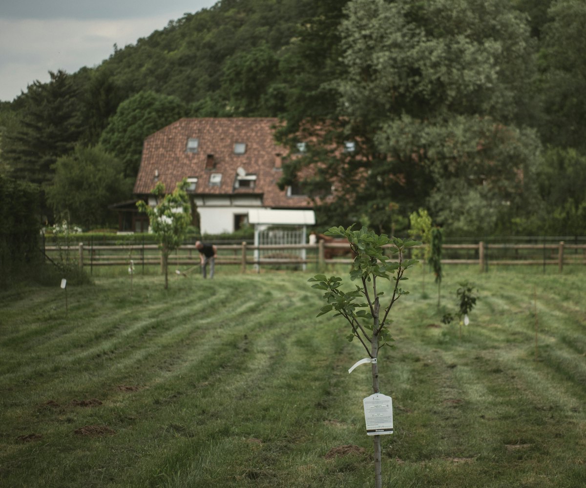 Maison dans la campagne verdoyante